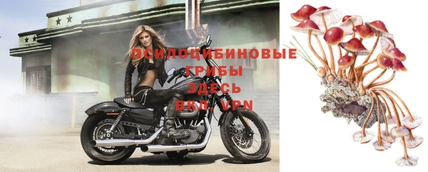 мдпв Арсеньев
