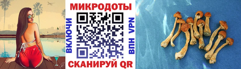 Галлюциногенные грибы ЛСД  Борисоглебск 